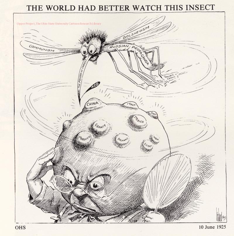 The World Had Better Watch This Insect