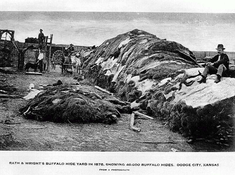 Rath and Wright's buffalo hide yard, showing 40,000 buffalo hides baled for shipment, Dodge City, KS 1878